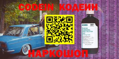 шишки Камышлов